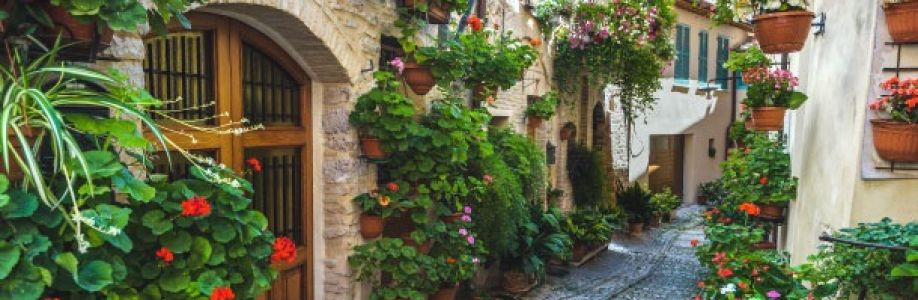 Md. Anowar Hossain Cover Image