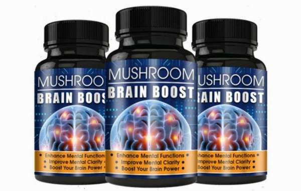 Mushroom Brain Boost – Brain Boost Support Formula