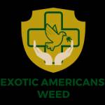 EXOTIC AMERICANS  WEED Profile Picture