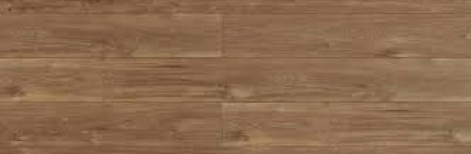 Tiles of Pompano Cover Image