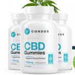 Jarodv willis Profile Picture