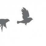 Two Birds One Stone Cafe Profile Picture