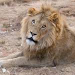 Guide Blog Profile Picture