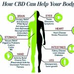 Davis nekson Profile Picture