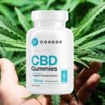 denver cris Profile Picture