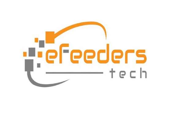 Expert Optimization Services by eFeeders Tech