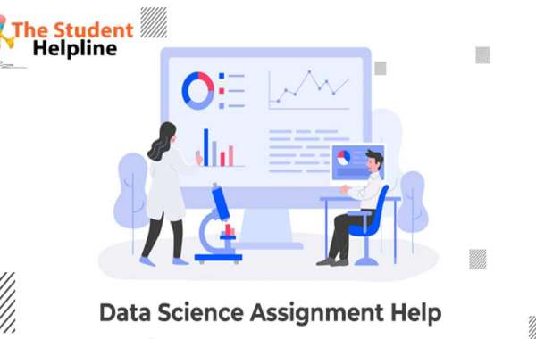 Master The Art Of Writing Data Science Assignments With These Nine Steps