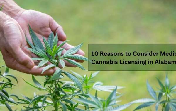 10 Reasons to Consider Medical Cannabis Licensing in Alabama
