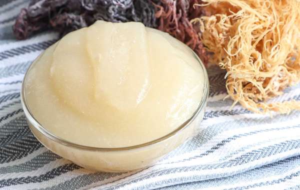 Unveiling the Marvels of Sea Moss Gel: A Nutrient Powerhouse