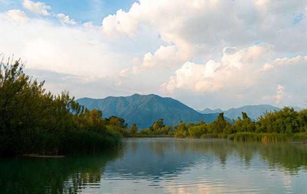 Dreams of Places I’ve Never Been: What Your Subconscious Is Trying to Tell You