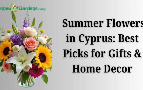Summer Flowers in Cyprus: Best Picks for Gifts & Home Décor